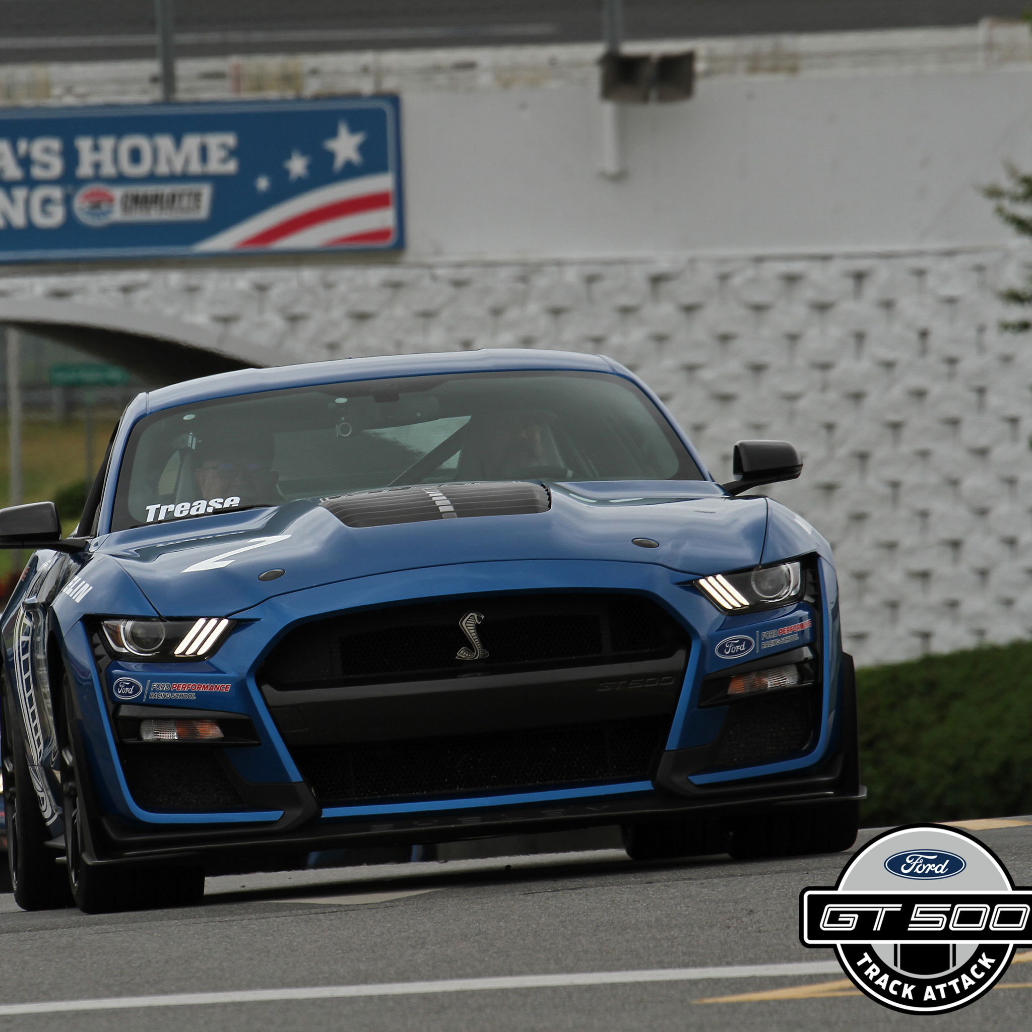 Profile of David Trease