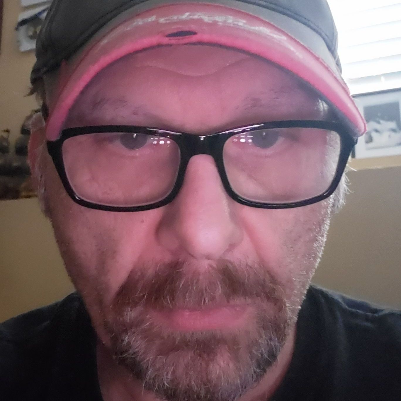 Profile of Paul Cook