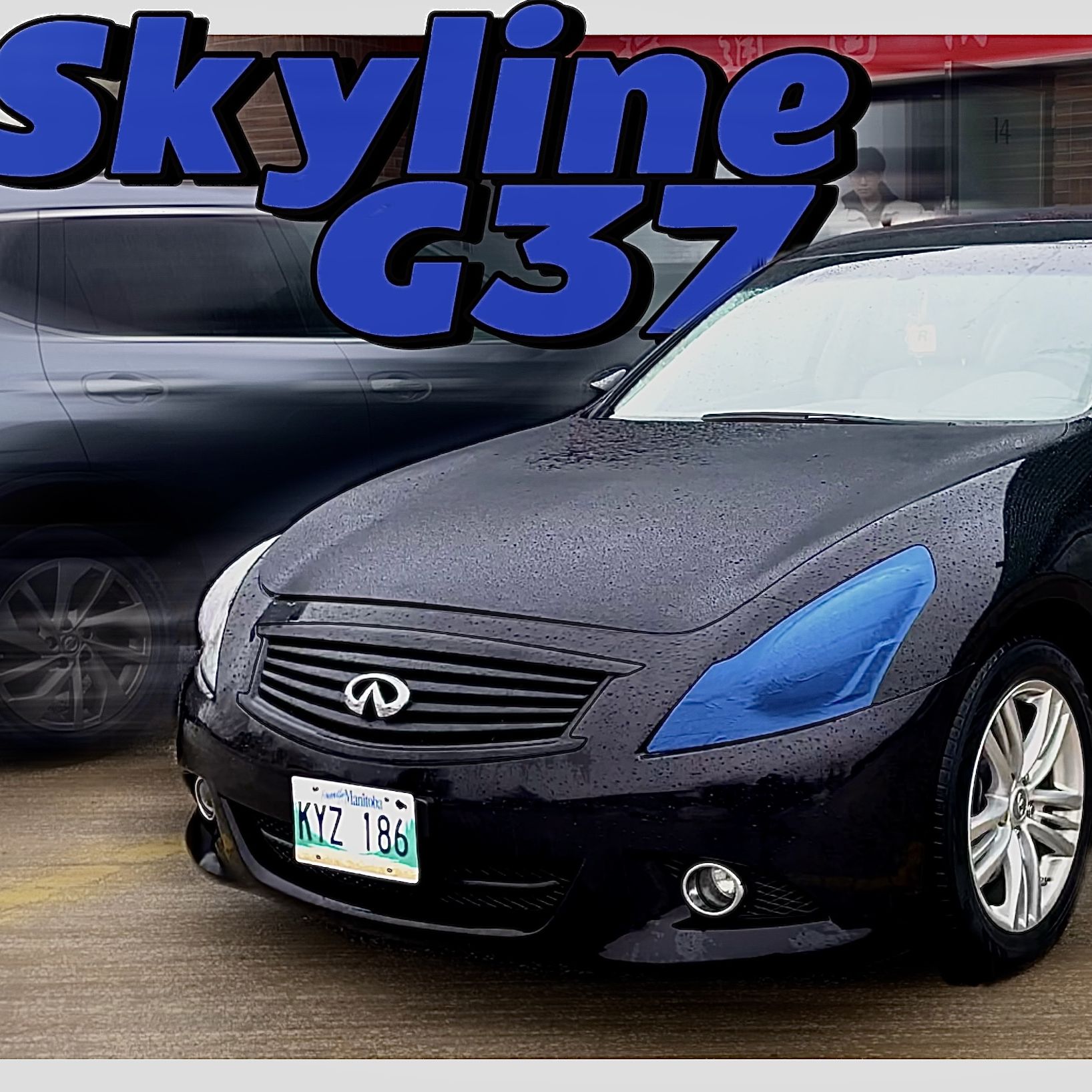 Profile of Sinian Yin