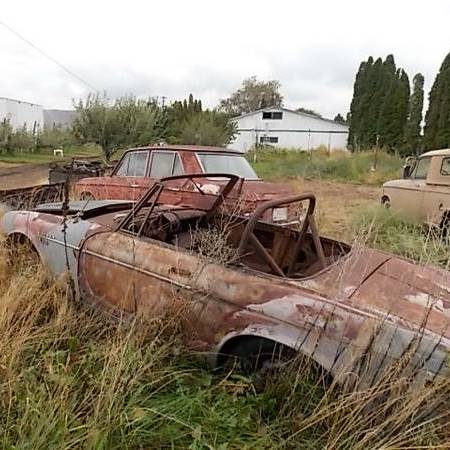 Profile of Steve Newby