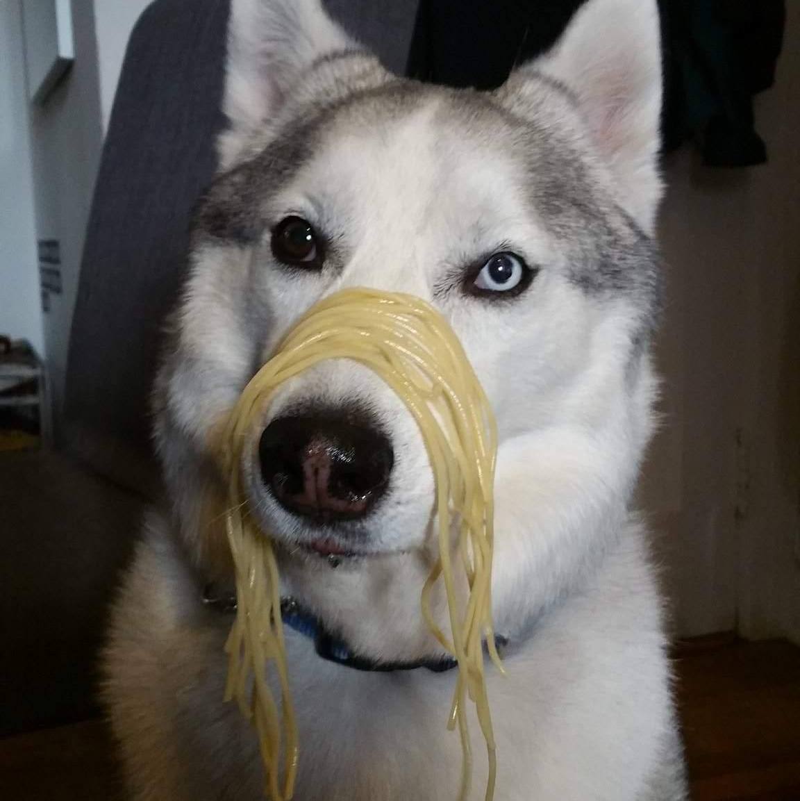 Profile of Lorenzo Uy