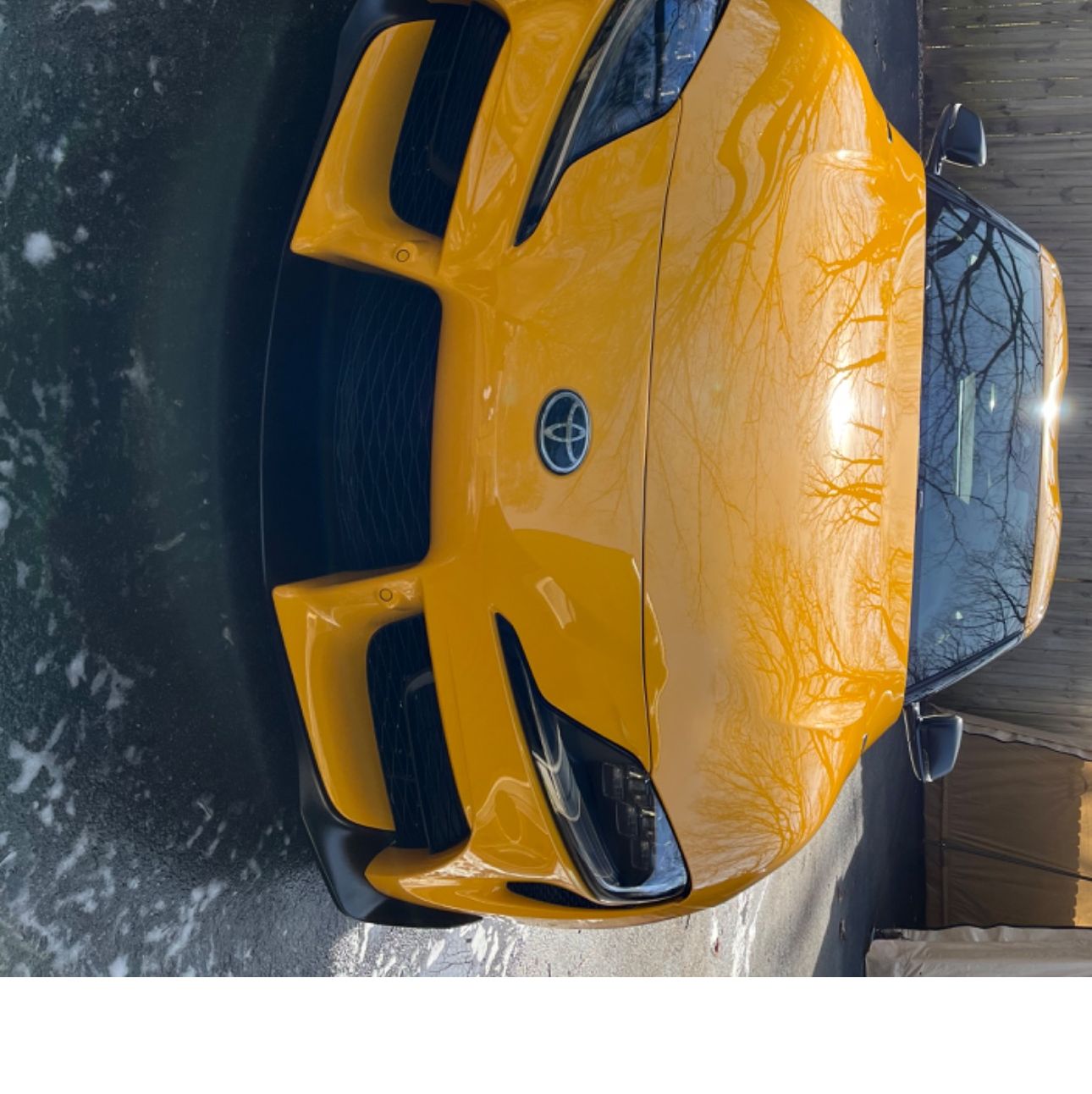 Profile of Alex Roetman