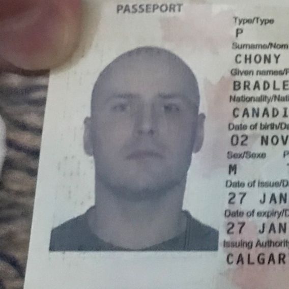 Profile of Brad Chony