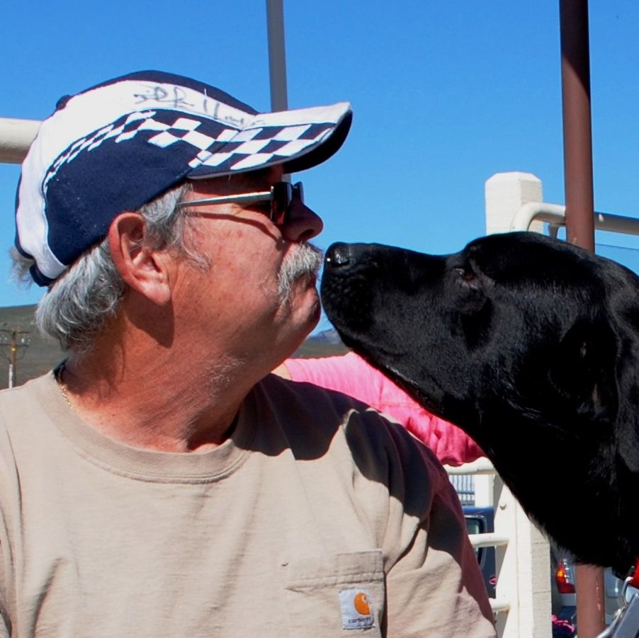 Profile of Tom Irwin