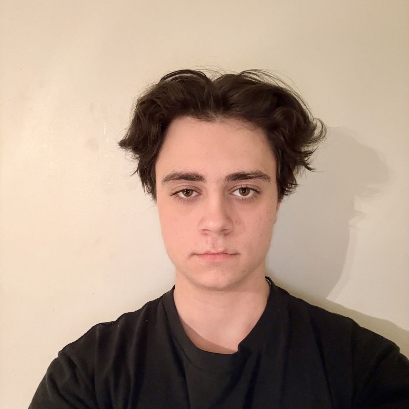 Profile of Luka Bracht dosil