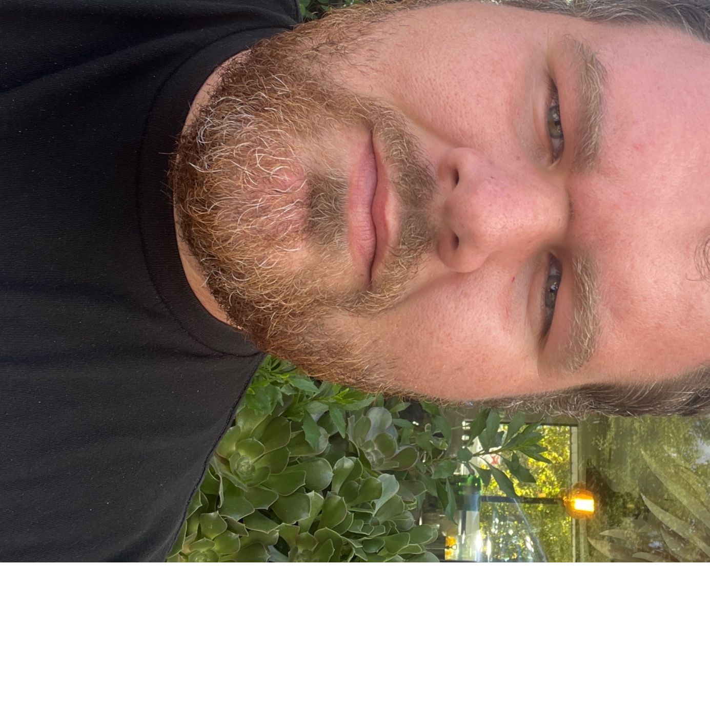 Profile of Michael Nelson