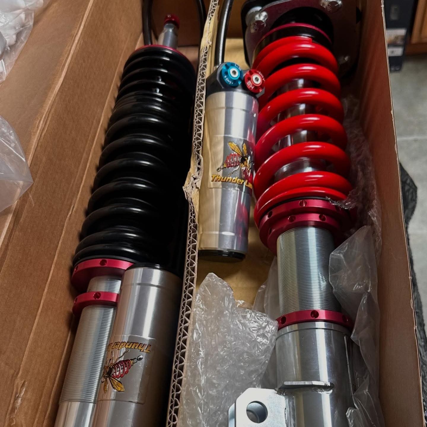 Profile of Nicholas Camp