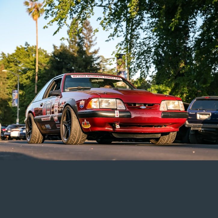 Profile of Matthew Hamson