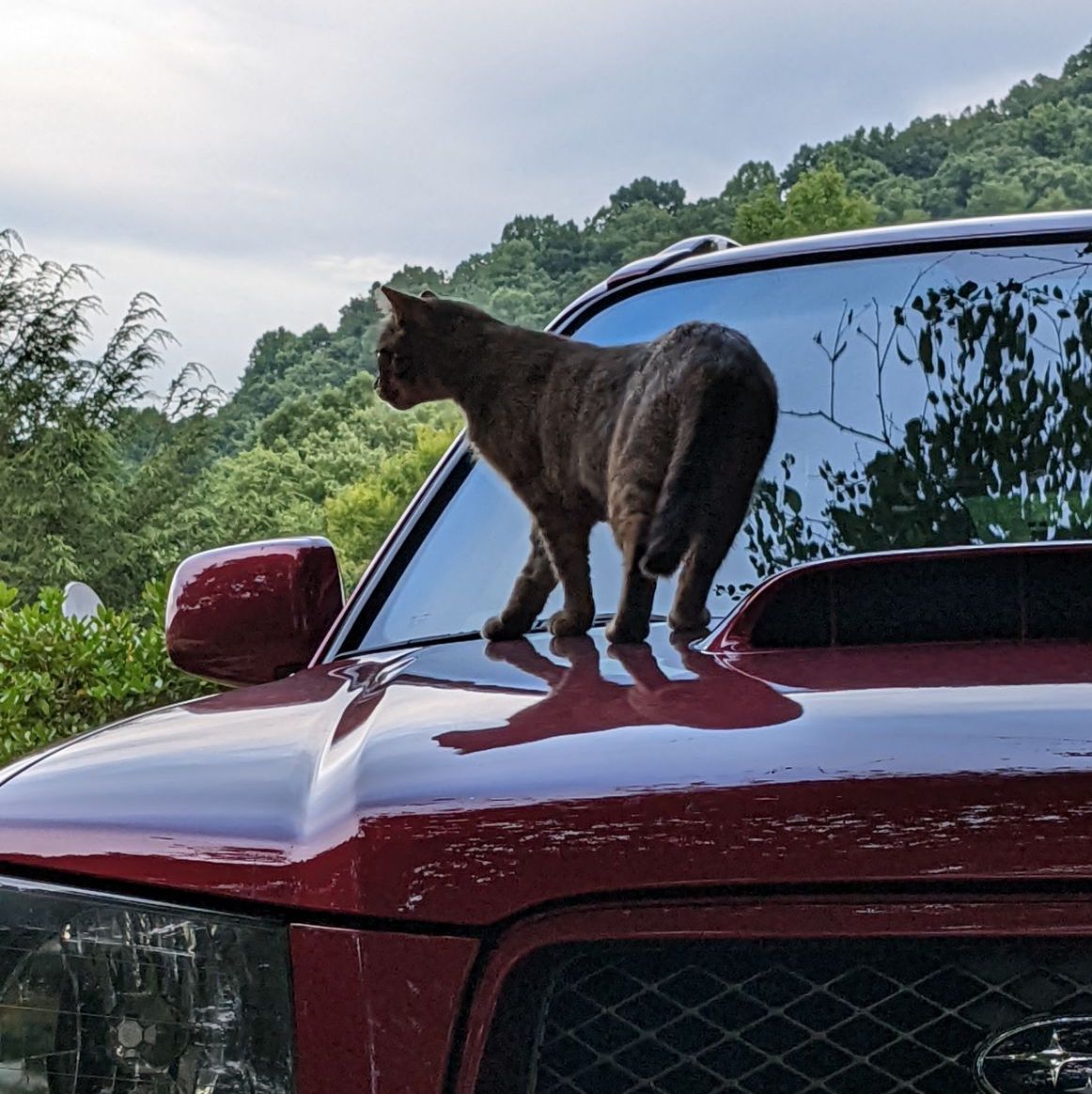 Profile of Brandon Spake