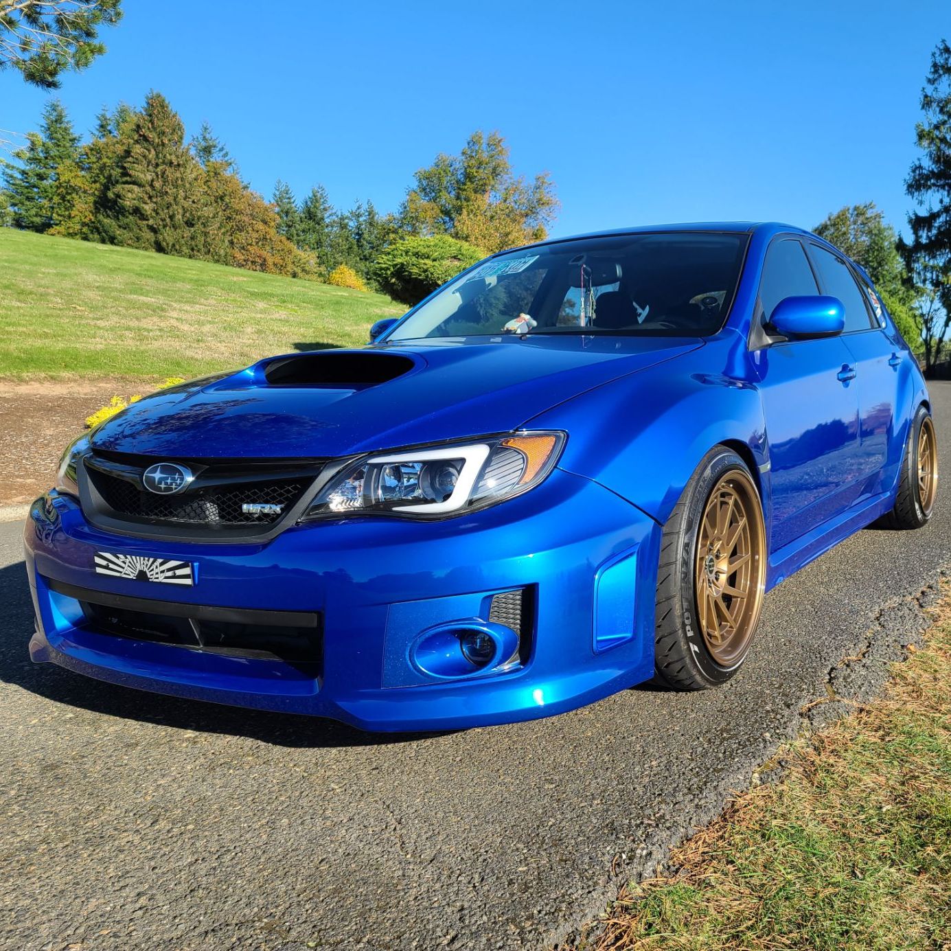 Profile of Nicholas Gall