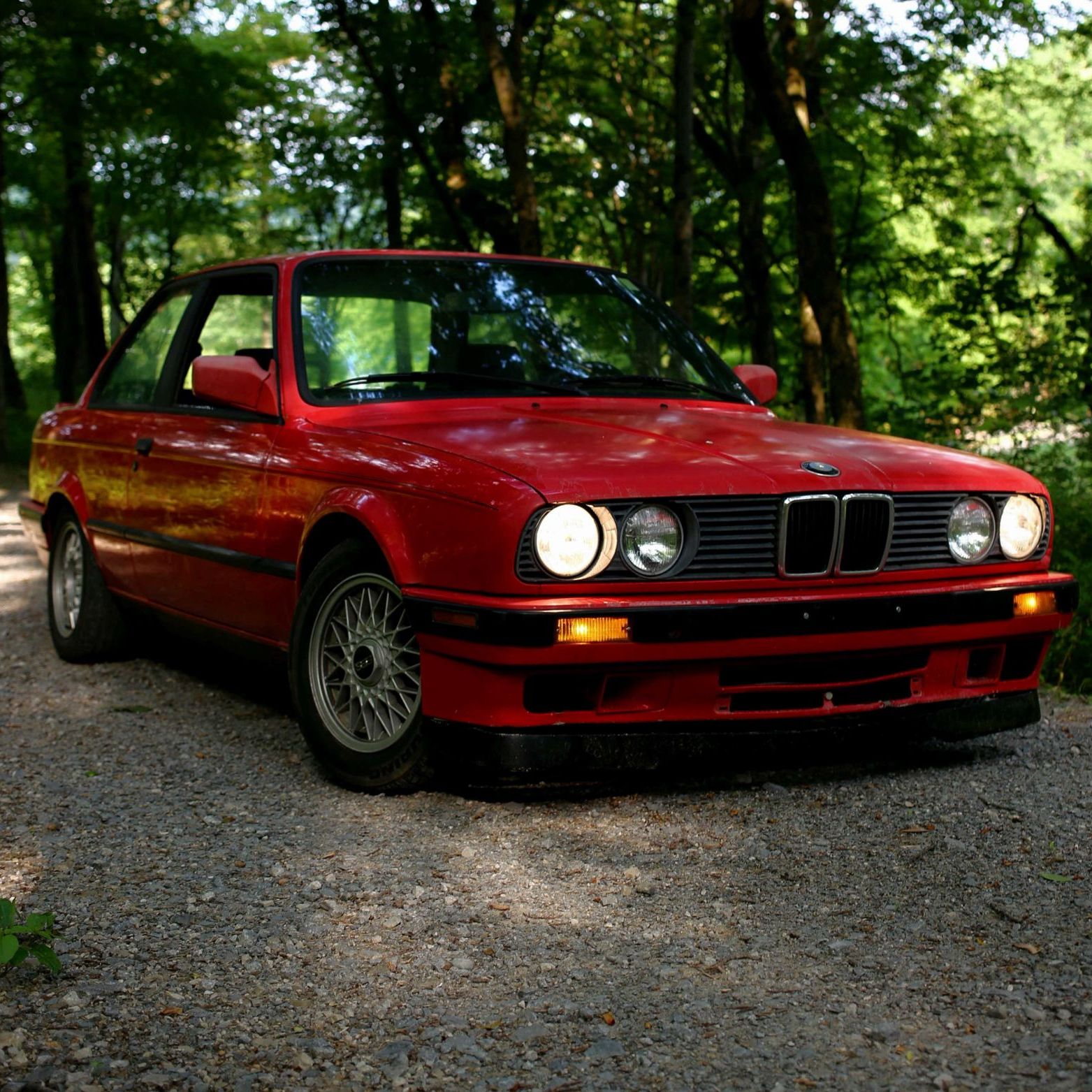 Profile of Drew Freeman