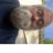 Profile of Sam Gaither