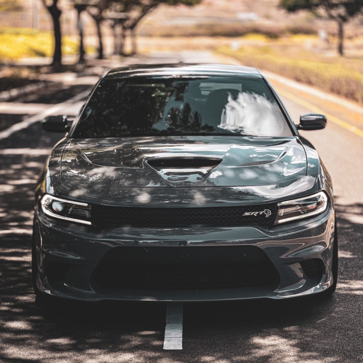 Profile of Ersaan Blackwell