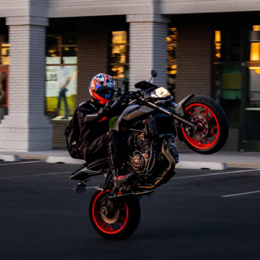 Profile of Nicholas Montella