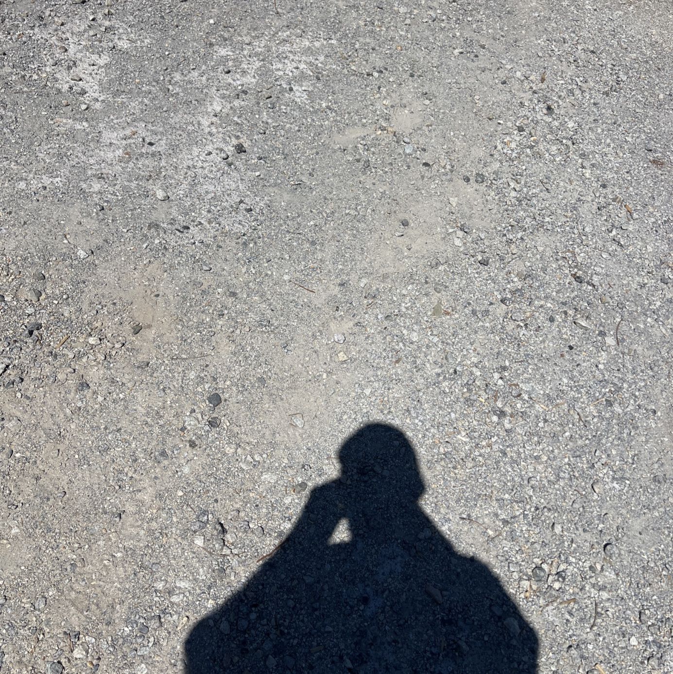 Profile of Luke Strickland