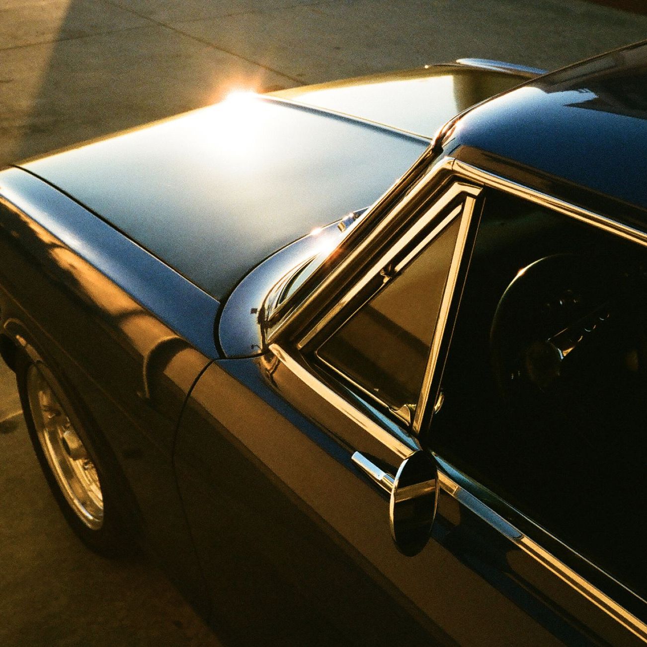 Profile of Nicholas Haydon