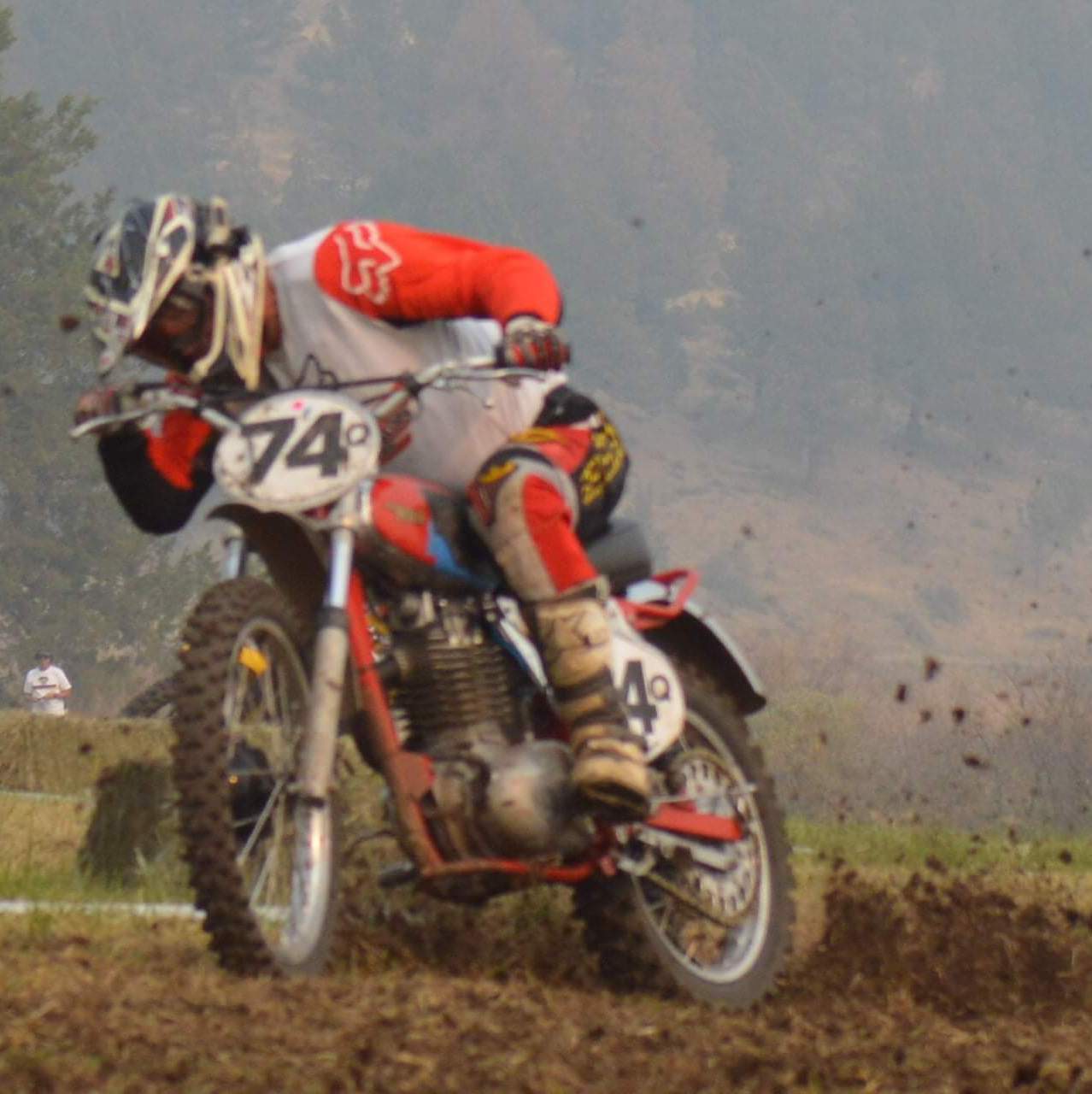Profile of Kelly Shane