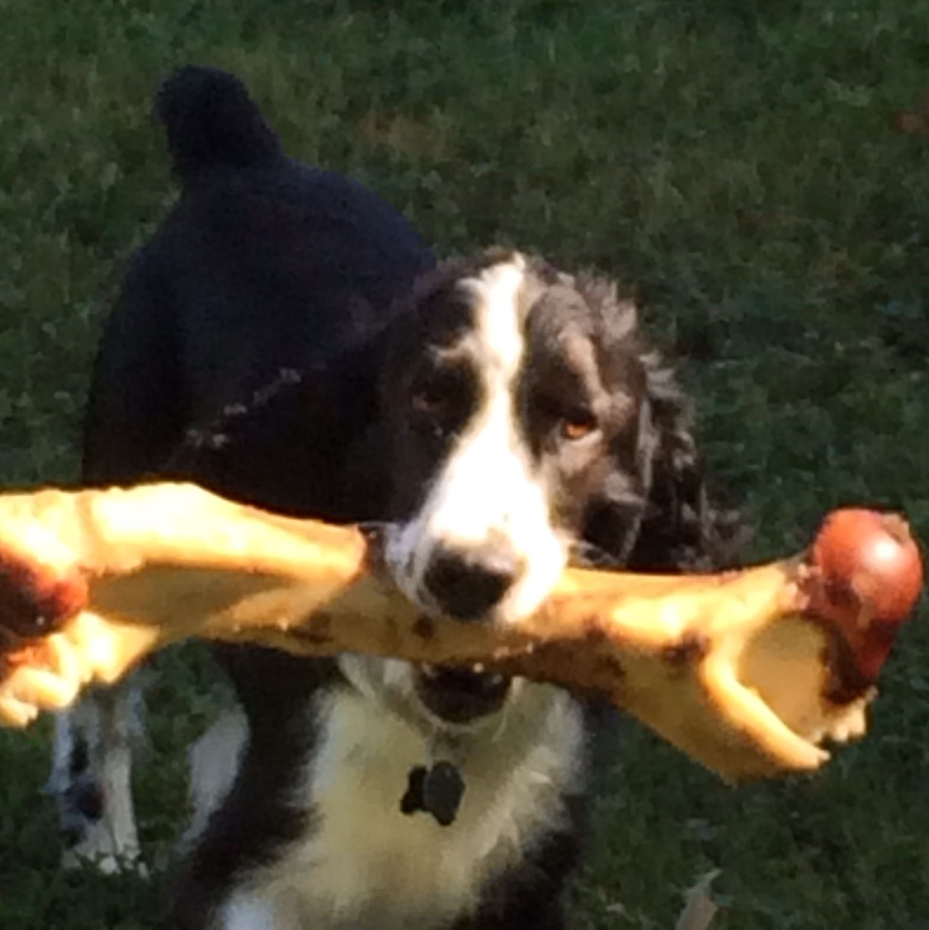 Profile of Todd Schrecengost