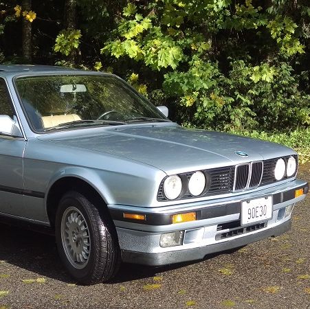 Profile of Peter Levine