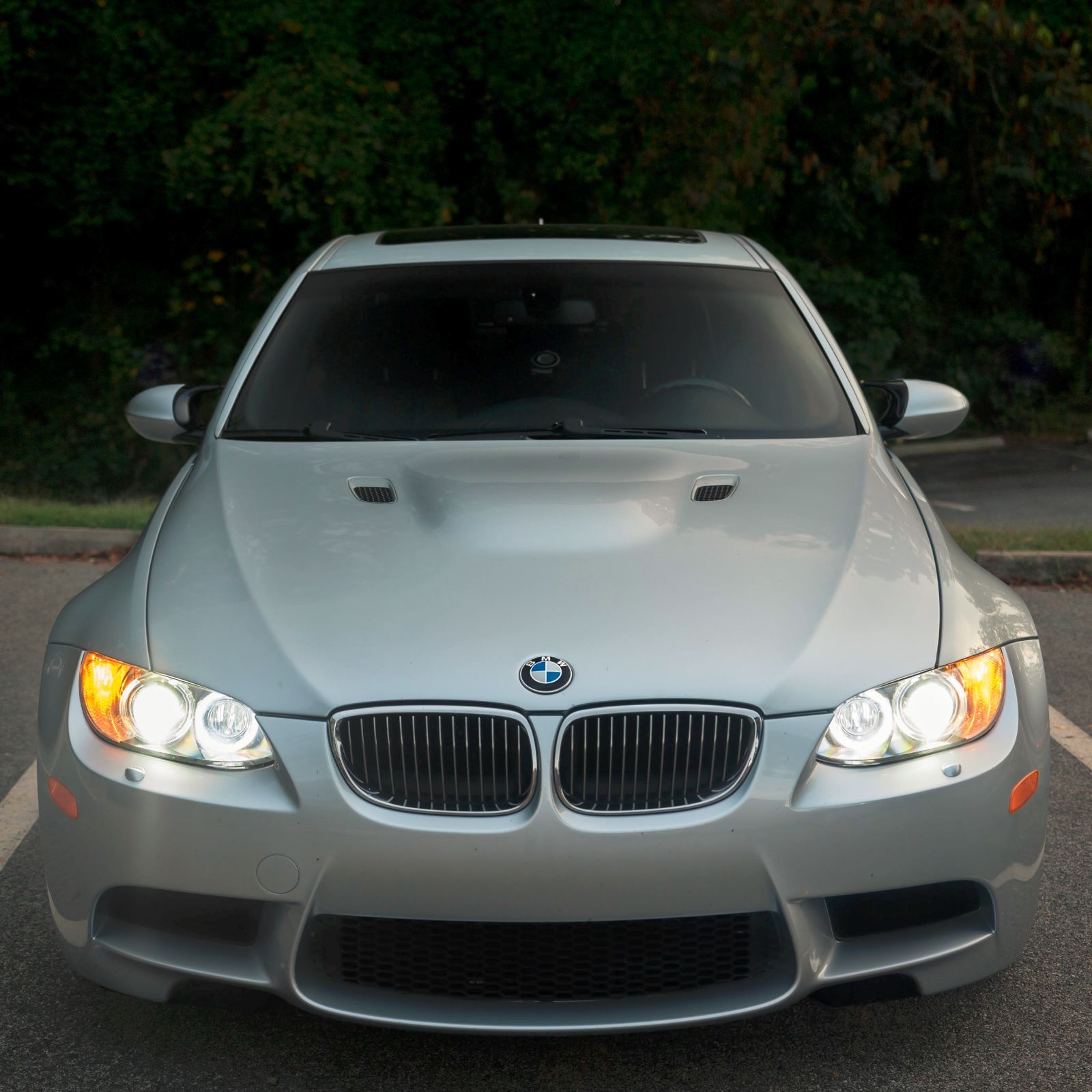 Profile of David Boone