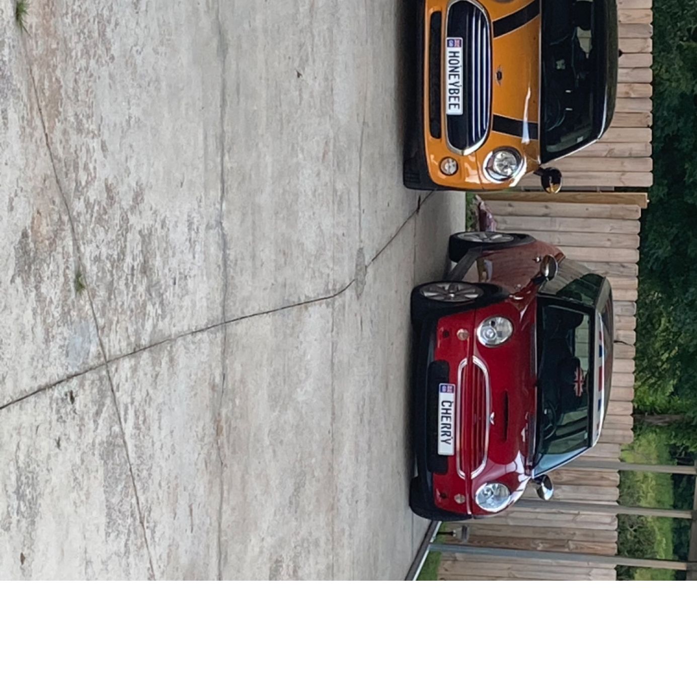 Profile of Tammy Robinson