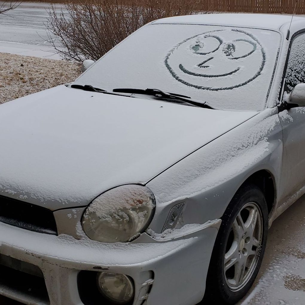 Profile of Stephen Wilchek