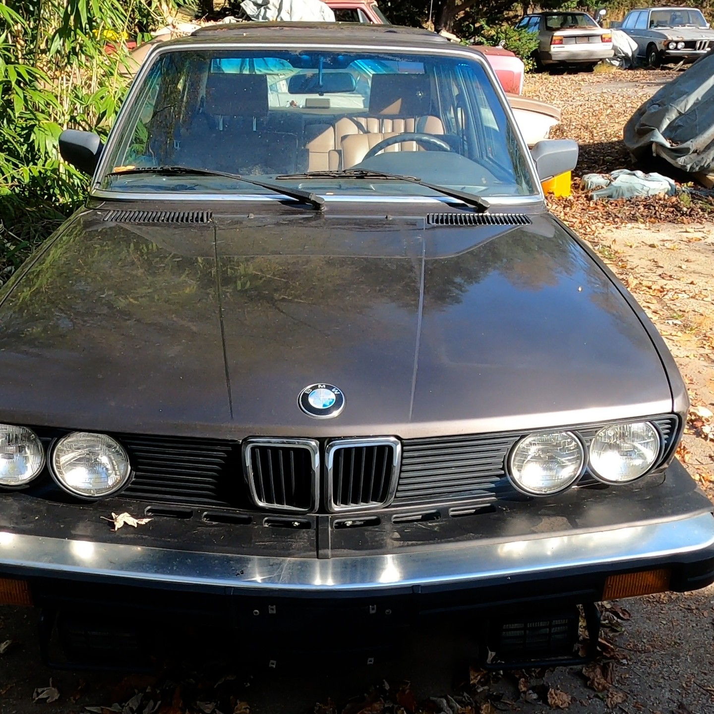 Profile of Mitchell Bennett