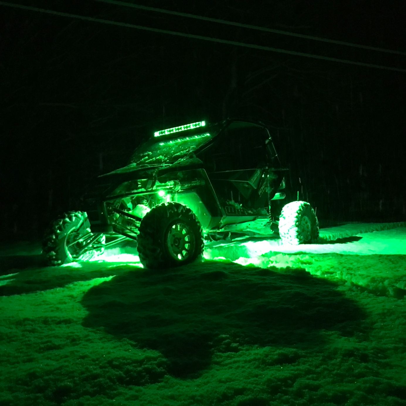 Profile of Adam Collen