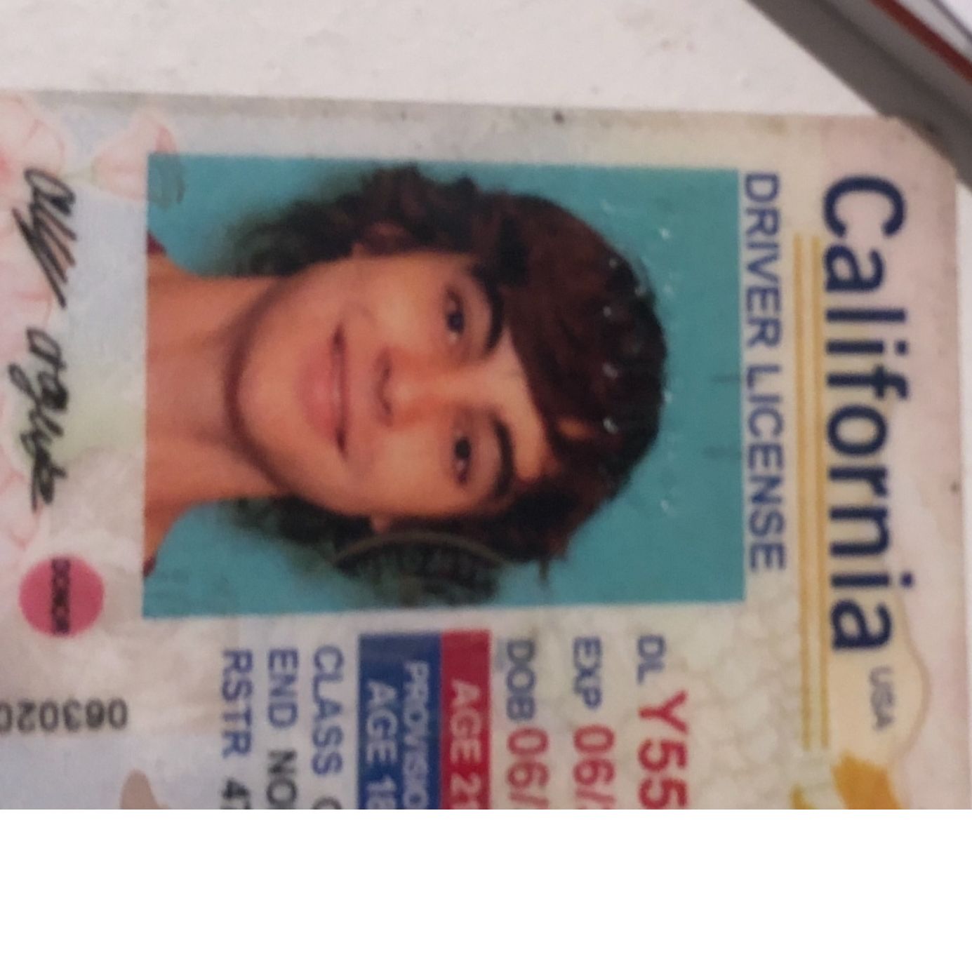 Profile of Alex Arguijo