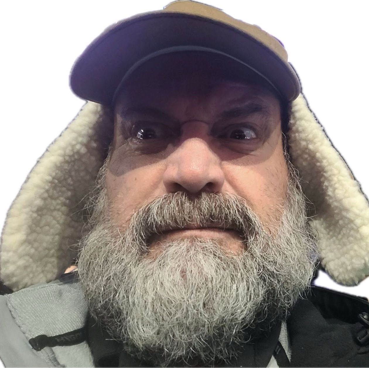 Profile of Martin Harrison