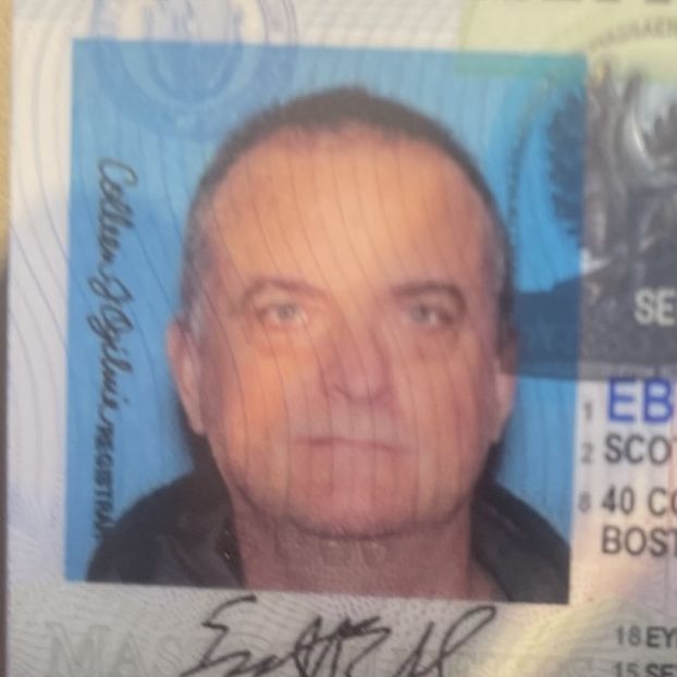 Profile of Scott Ebert
