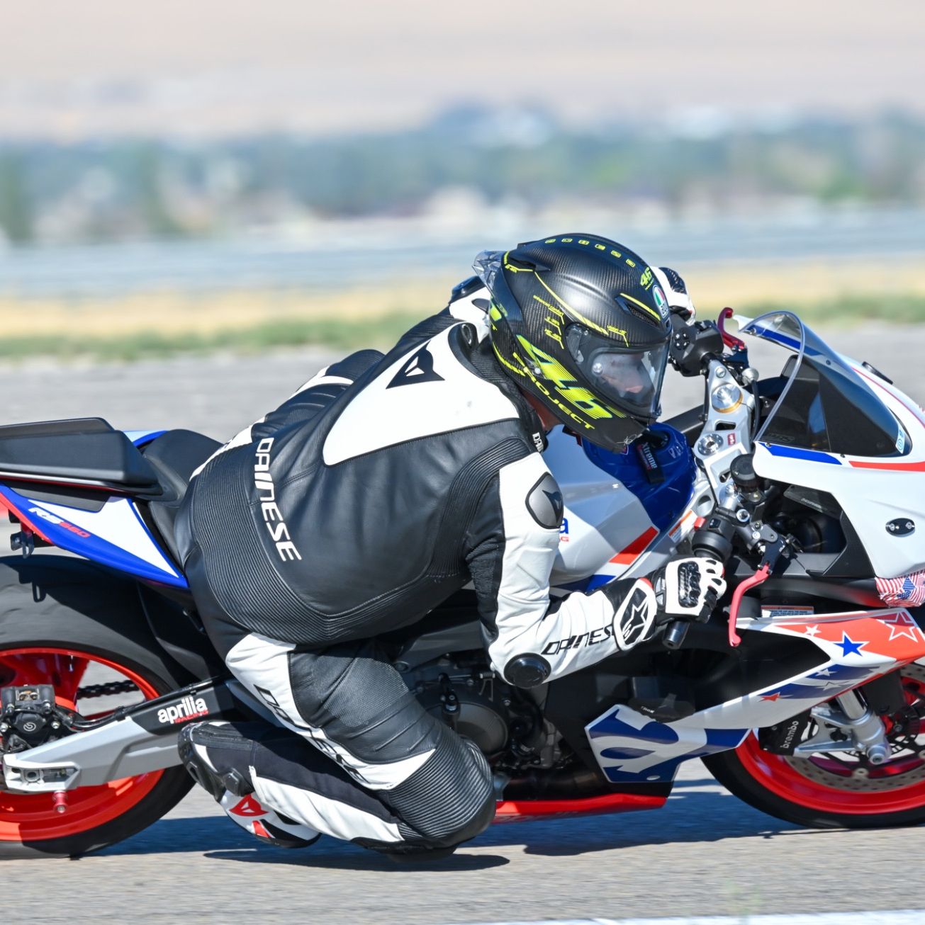 Profile of Ramon Collado