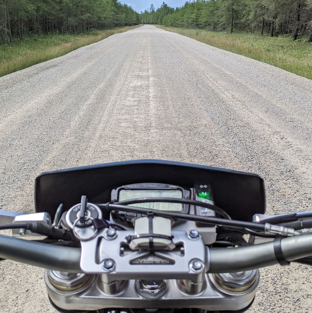 Profile of Dillon Radosevich