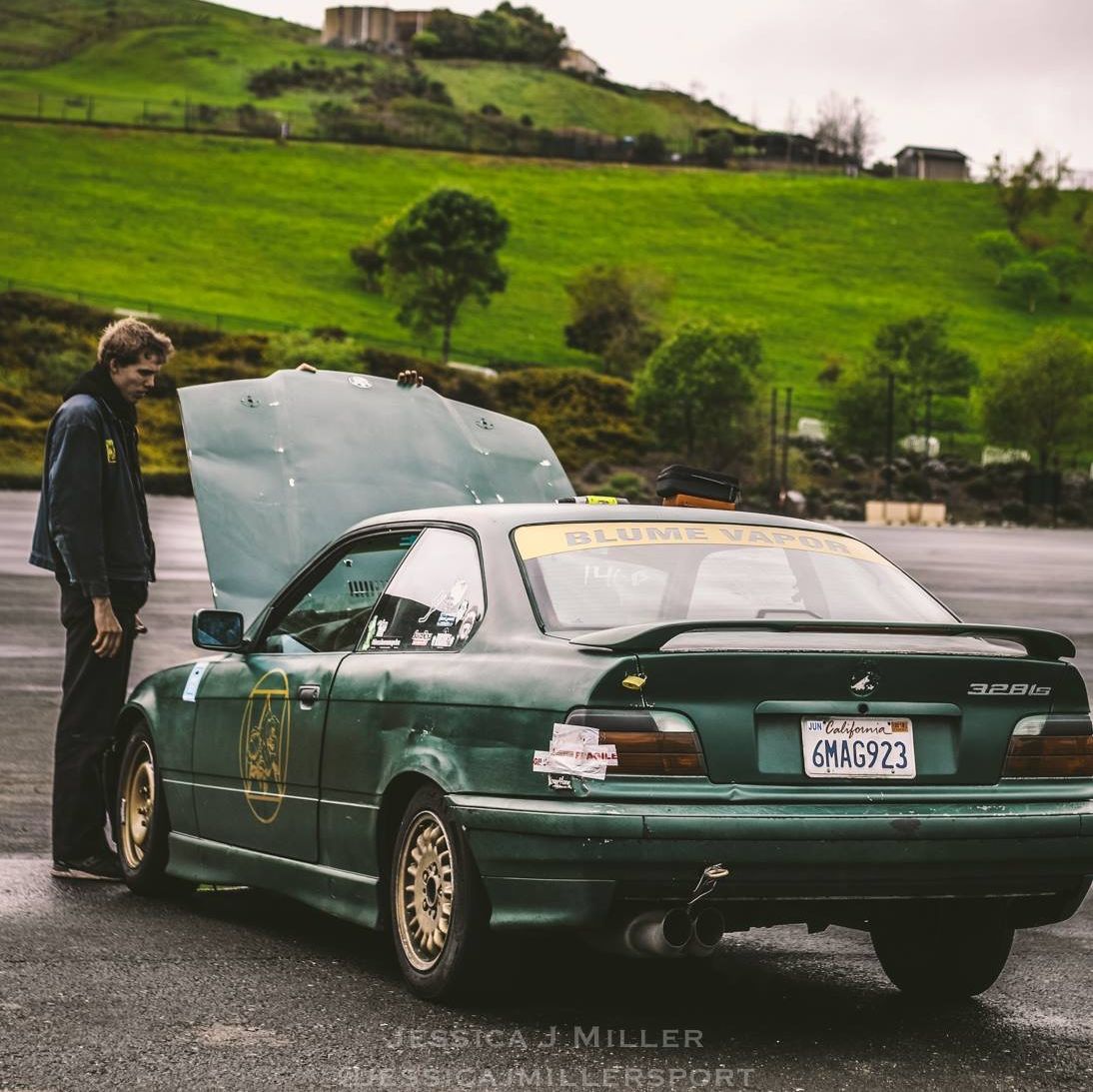 Profile of Rocco Vega