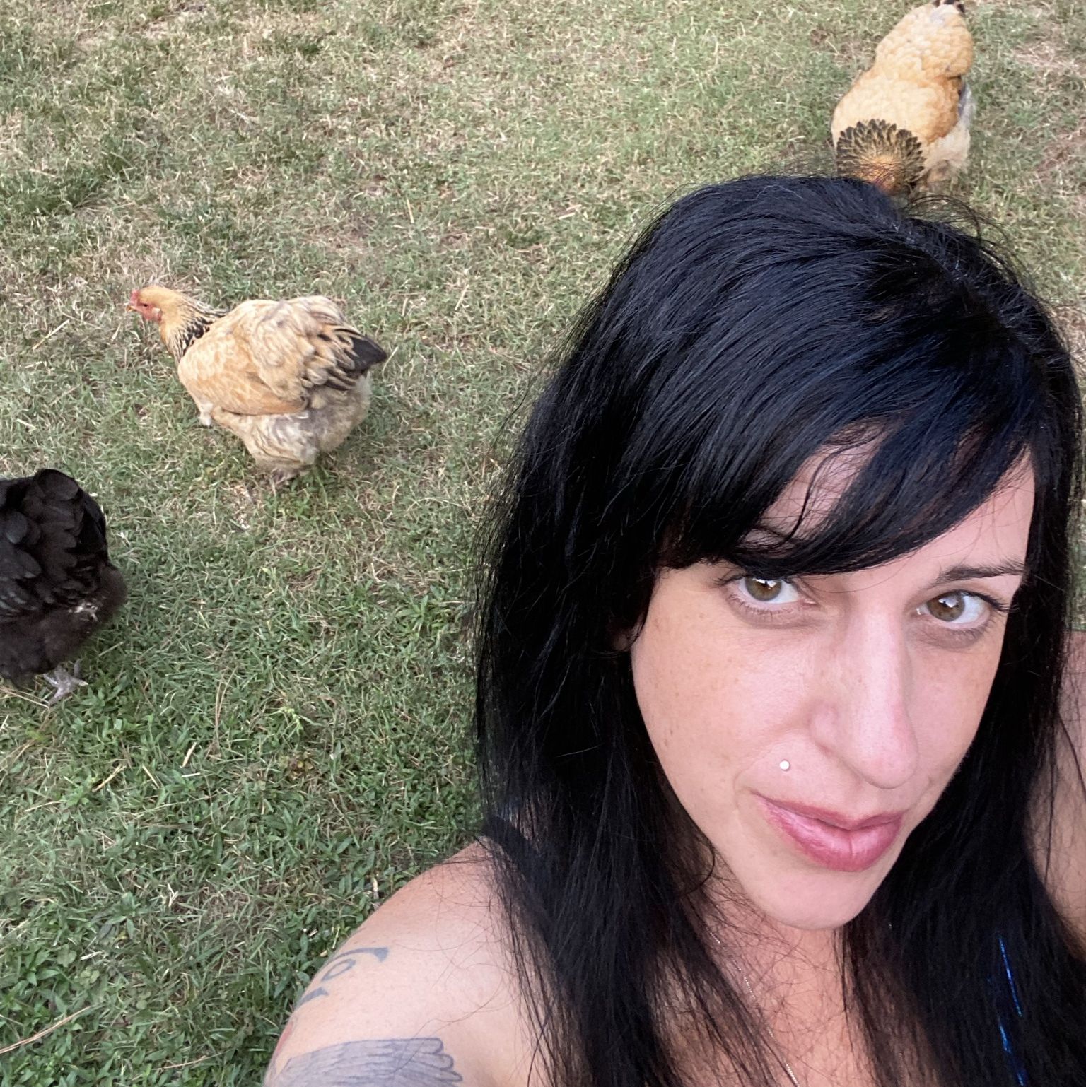 Profile of Danielle N Lotito