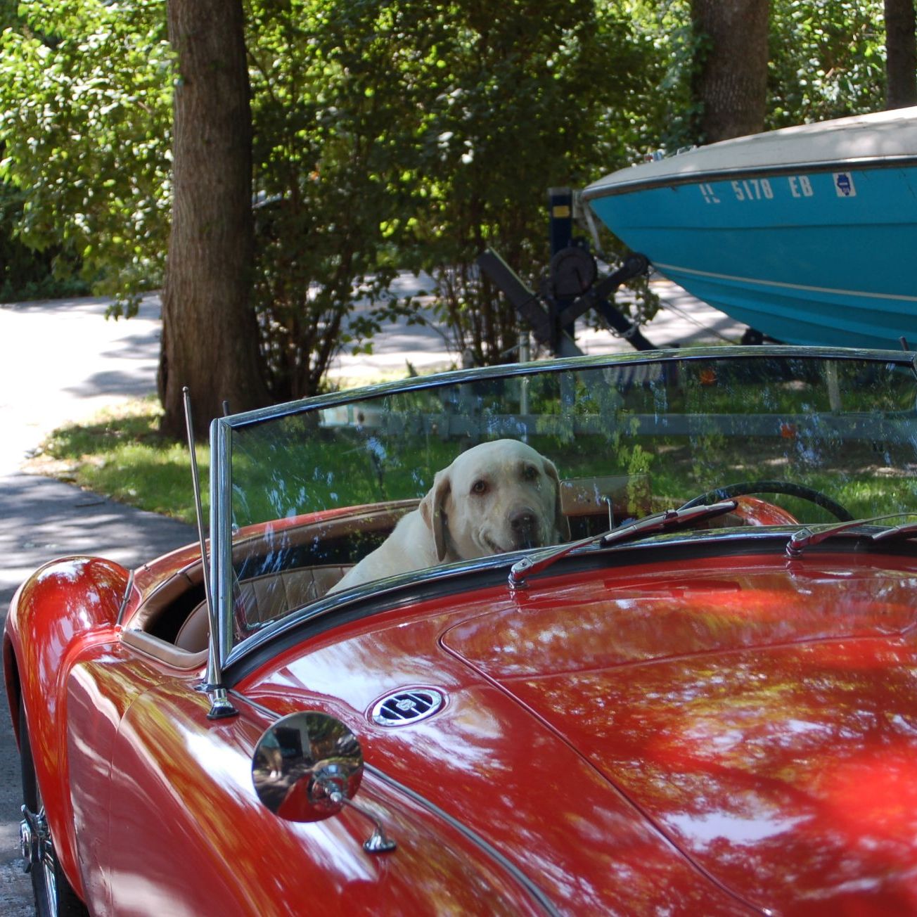 Profile of Don NO** Kreienbrink