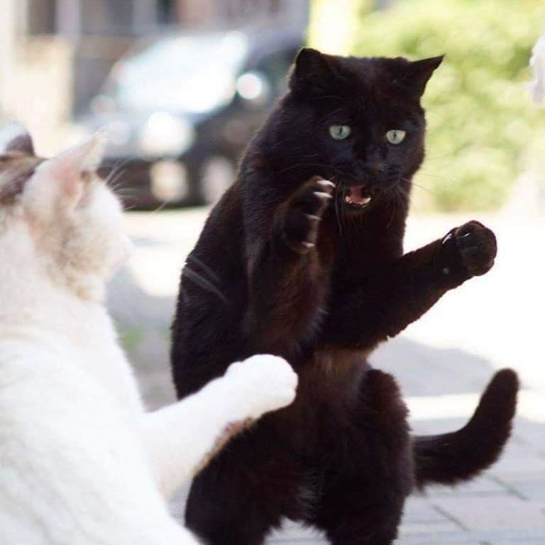 Profile of Kenny Bland