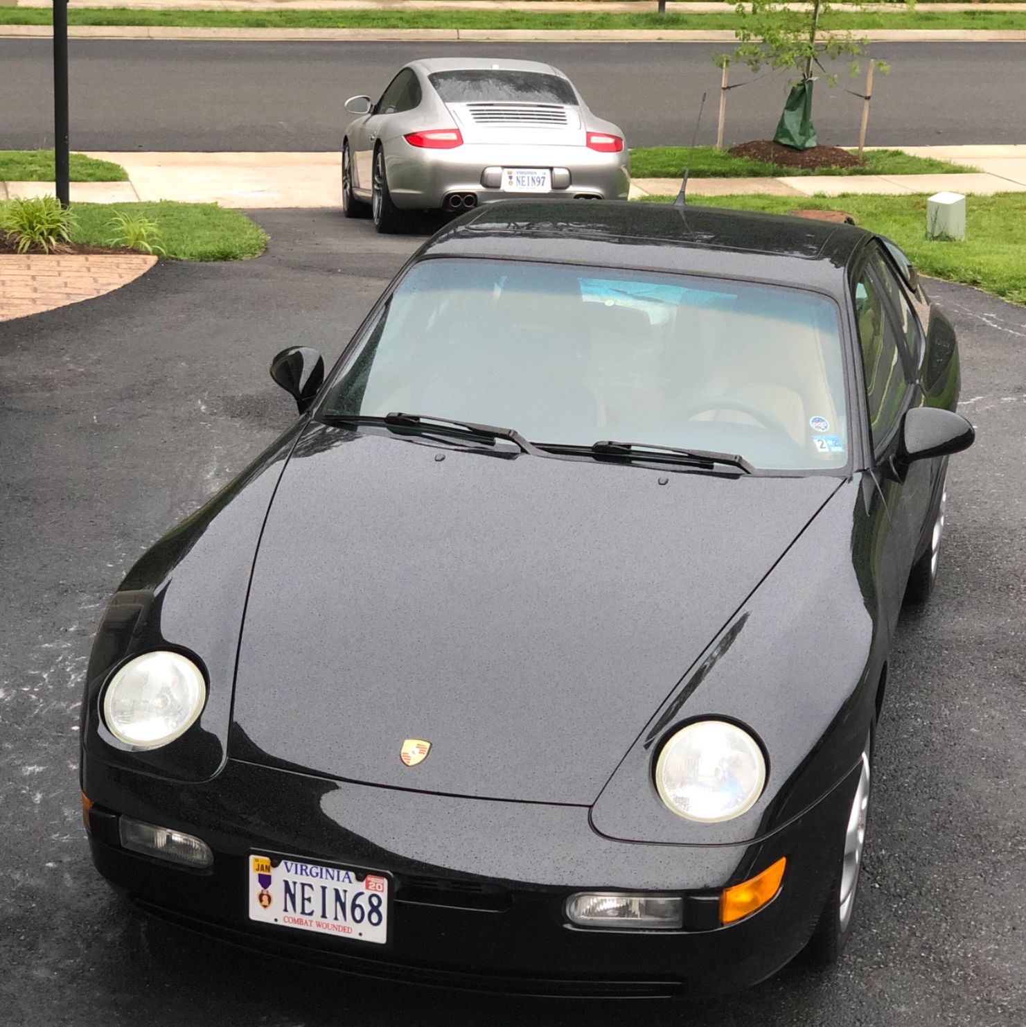 Profile of James Williamson