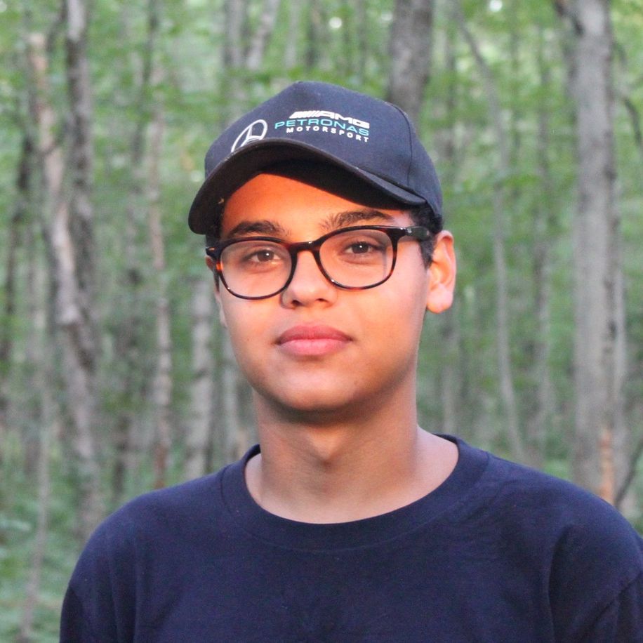 Profile of Kareem Abdelhalem