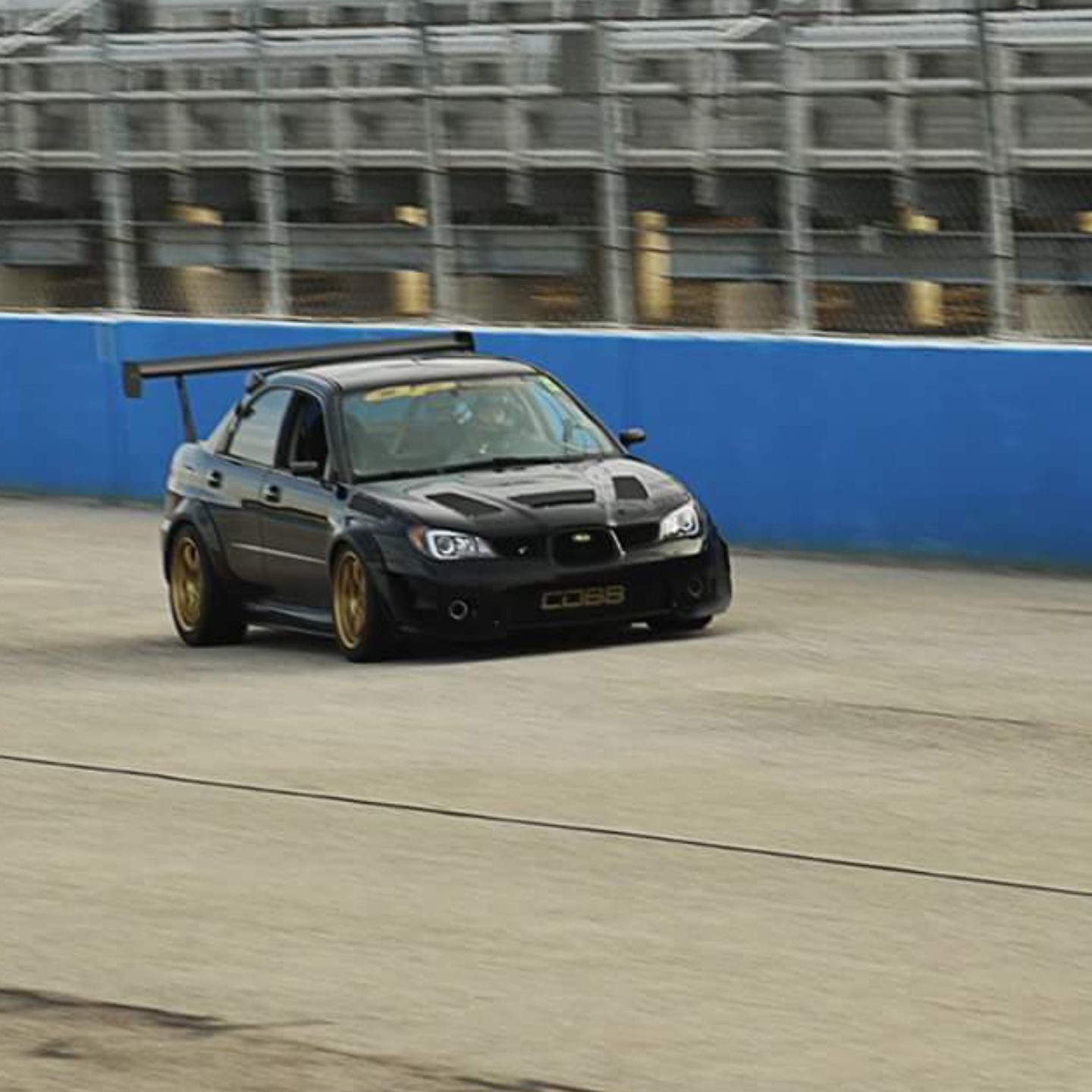 Profile of Troy Videkovich