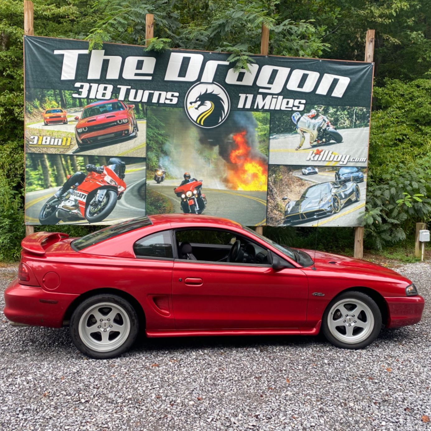 Profile of Daniel Smith