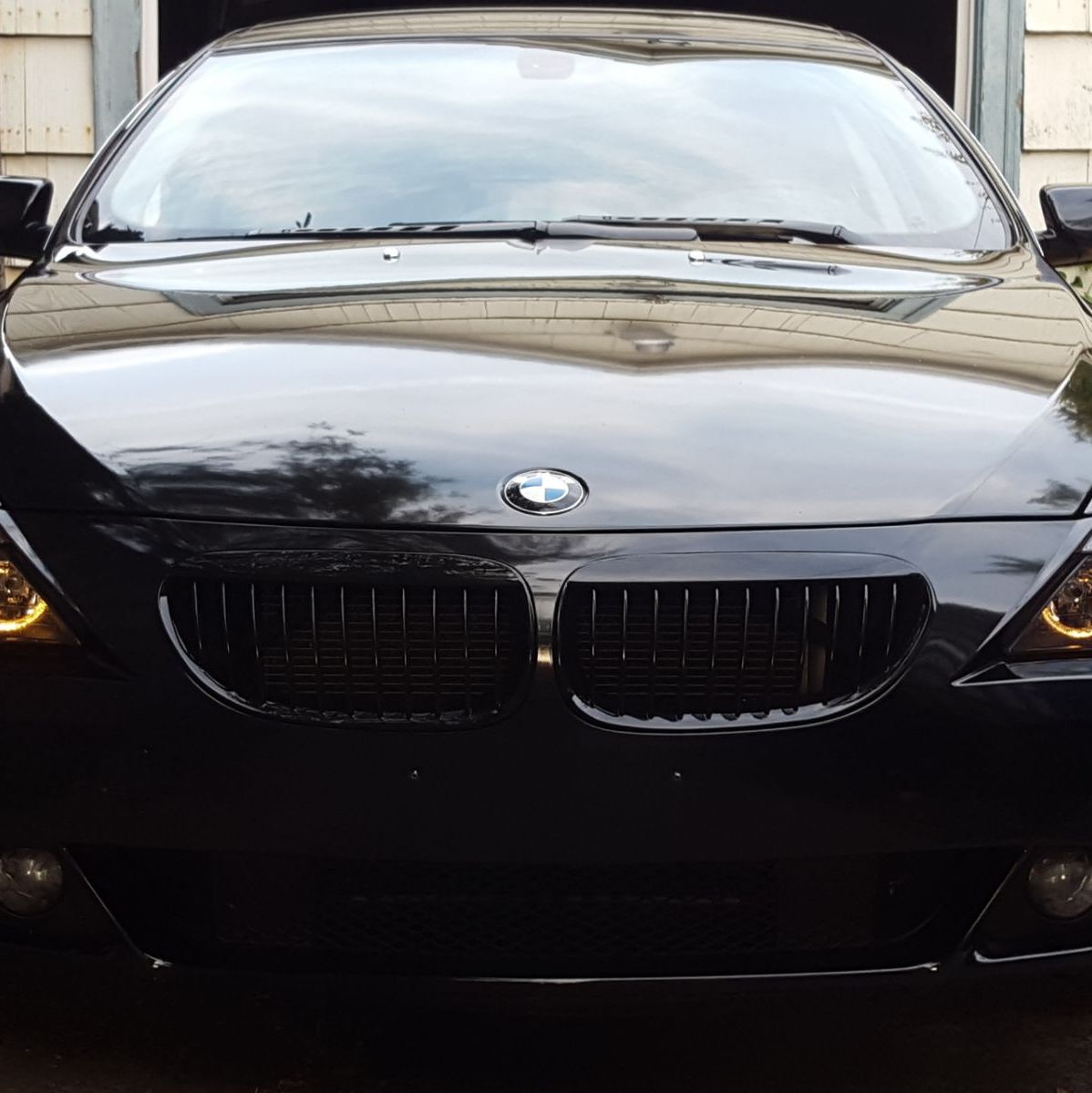 Profile of Dan Daniel