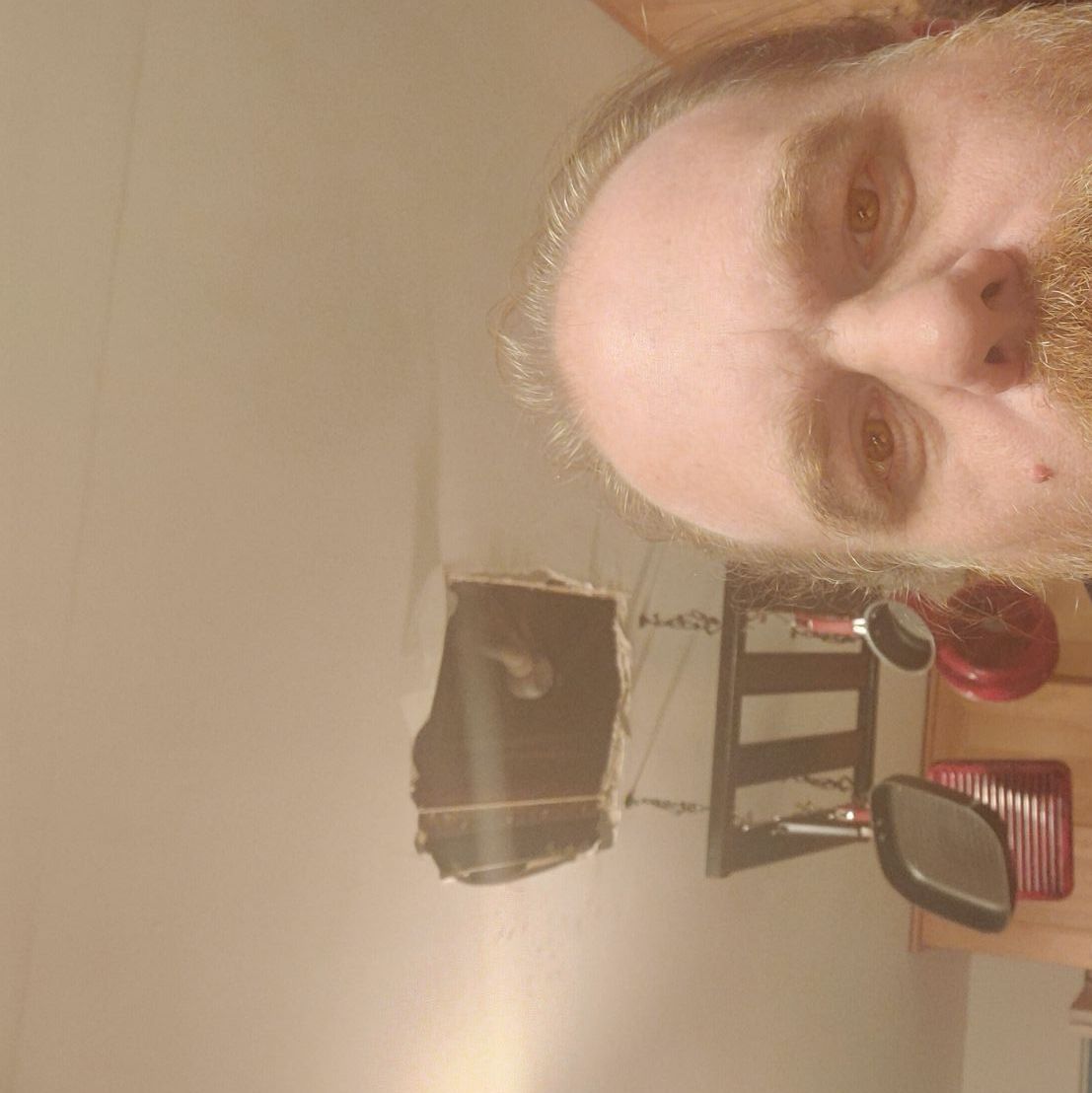 Profile of Matt Savage