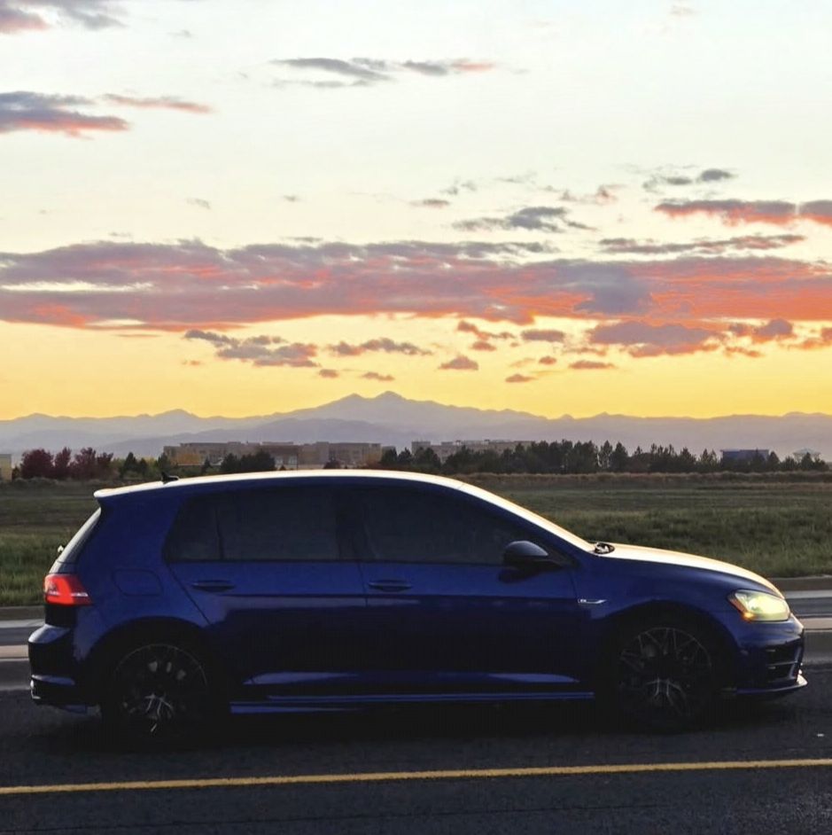 Profile of Gabriele Harrison