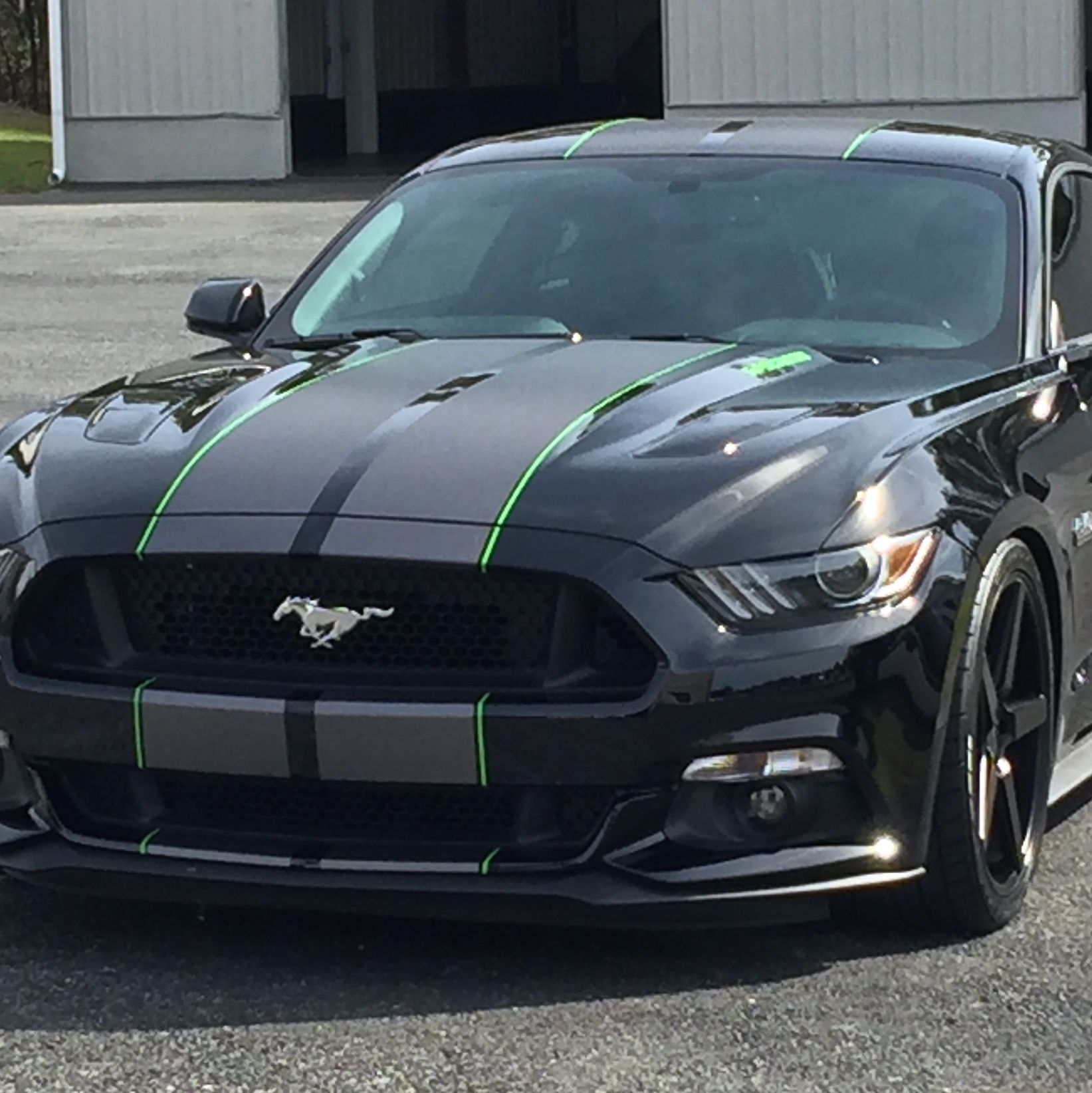 Profile of Andy Ackerman