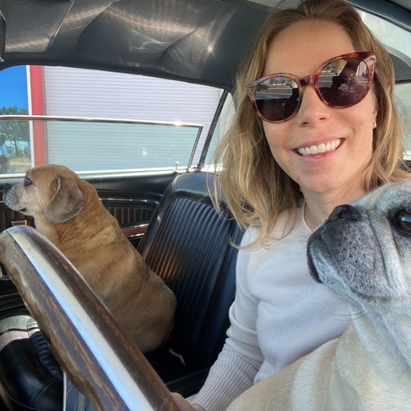 Profile of Amanda Lamb