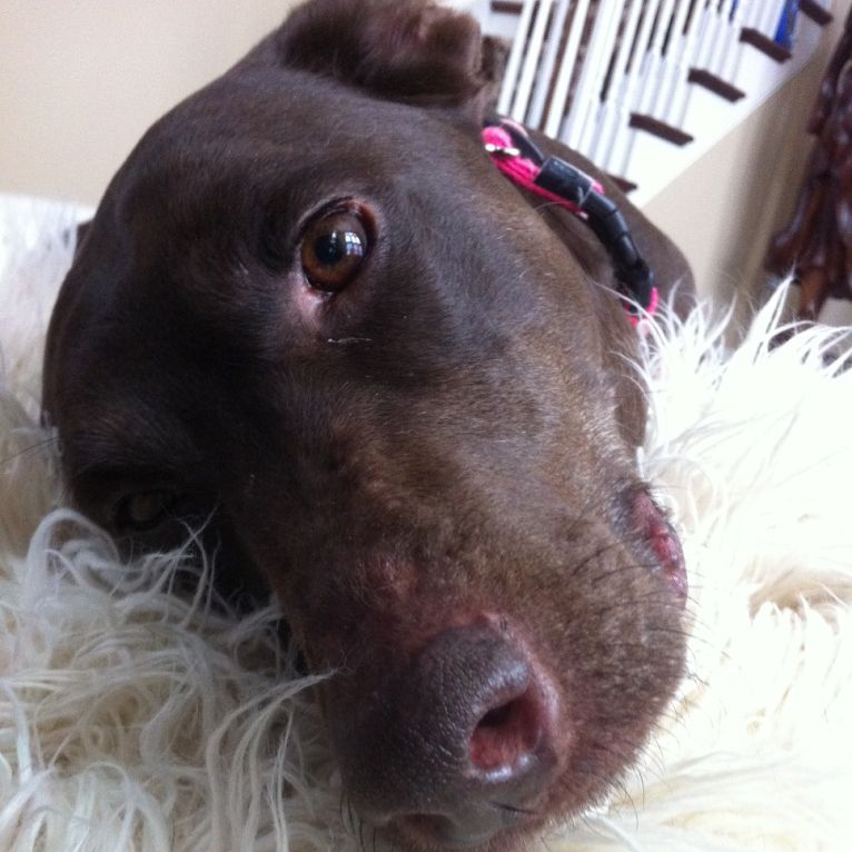 Profile of Max Shrem