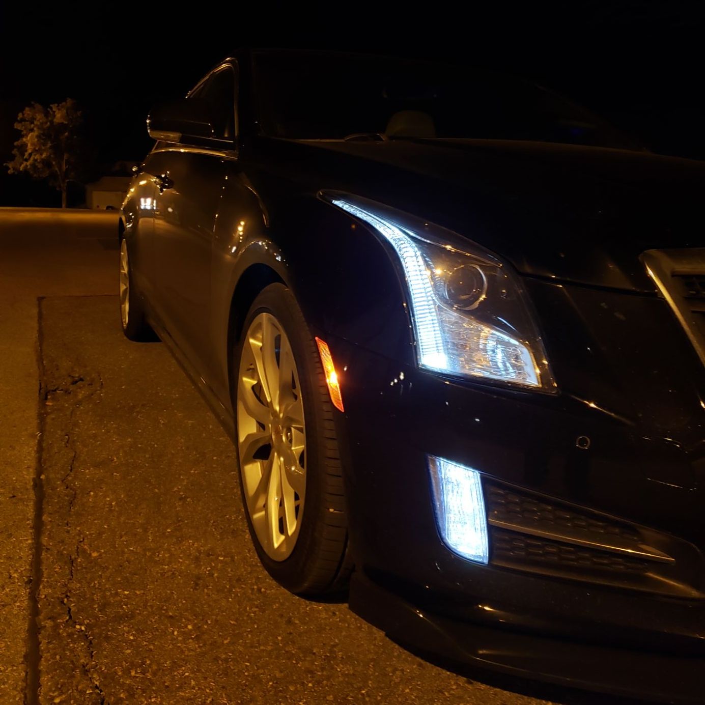 Profile of Tyler Etrich