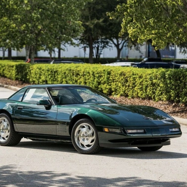 Profile of Daryl Williamson