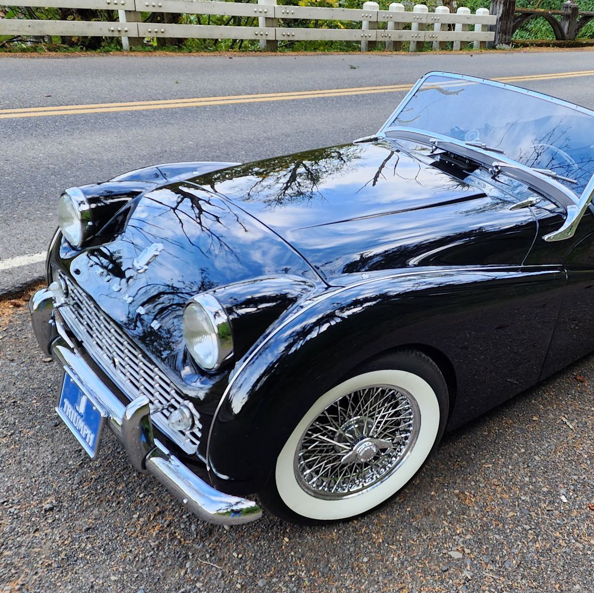 Profile of Stephen & Shirley Radford